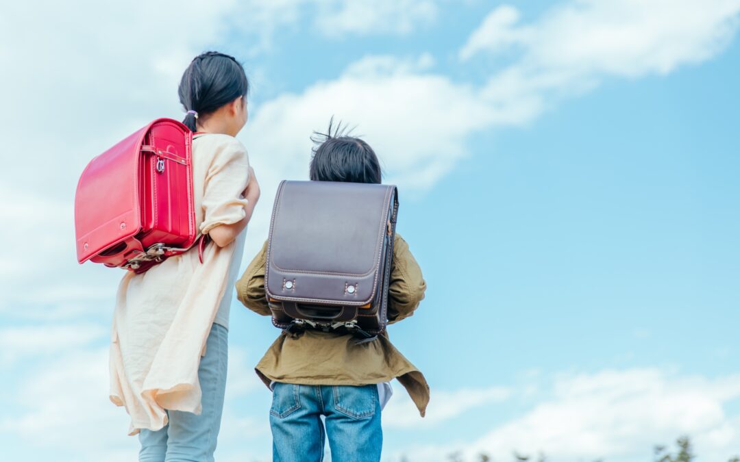 発達障がいの学習支援方法：子どもの可能性を引き出すために