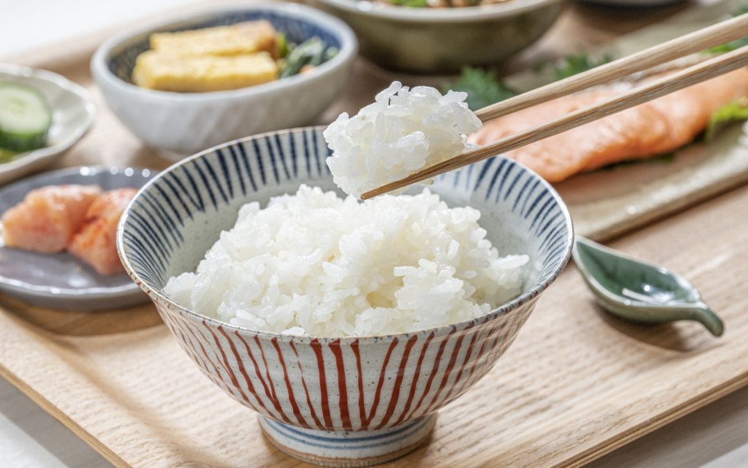 【驚愕の事実】学びと食事の関係が子どもの成績を左右する！朝食を抜く子と食べる子の学力差とは